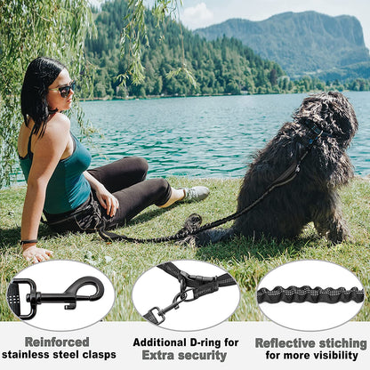 Hands Free Dog Leash for Medium and Large Dogs - Durable Dual Handle Waist Leash with Reflective Bungee for Running, Walking, Training, Hiking (Gray, for 1 Dog)