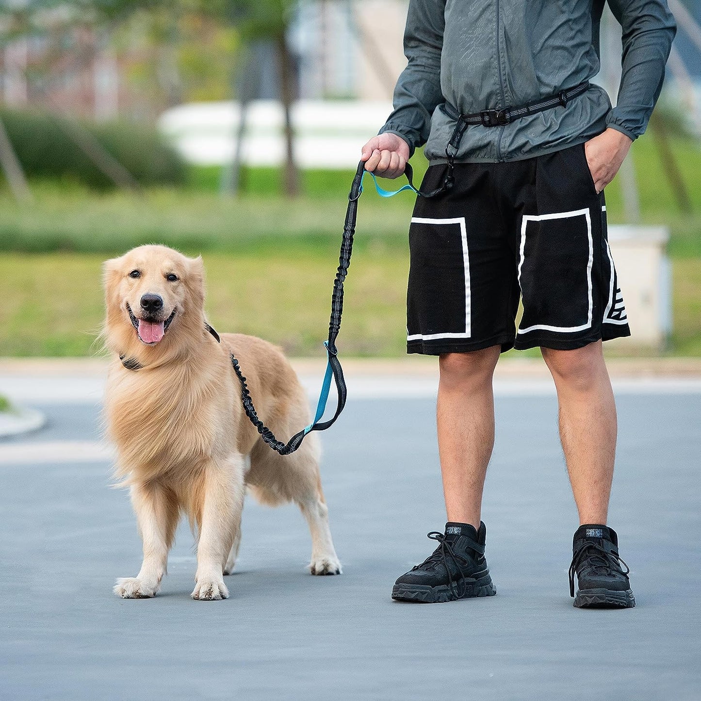 Hands Free Dog Leash with Zipper Pouch, Dual Padded Handles and Durable Bungee for Walking, Jogging and Running Your Dog (Large, 25-150 Lbs, Black)