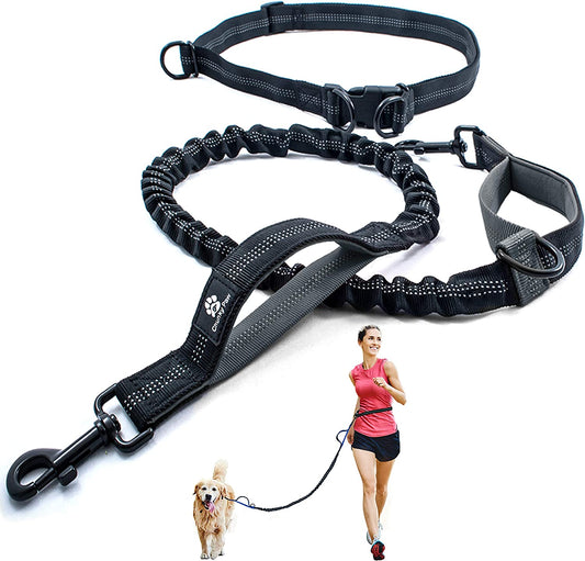 Hands Free Dog Leash for Medium and Large Dogs - Durable Dual Handle Waist Leash with Reflective Bungee for Running, Walking, Training, Hiking (Gray, for 1 Dog)