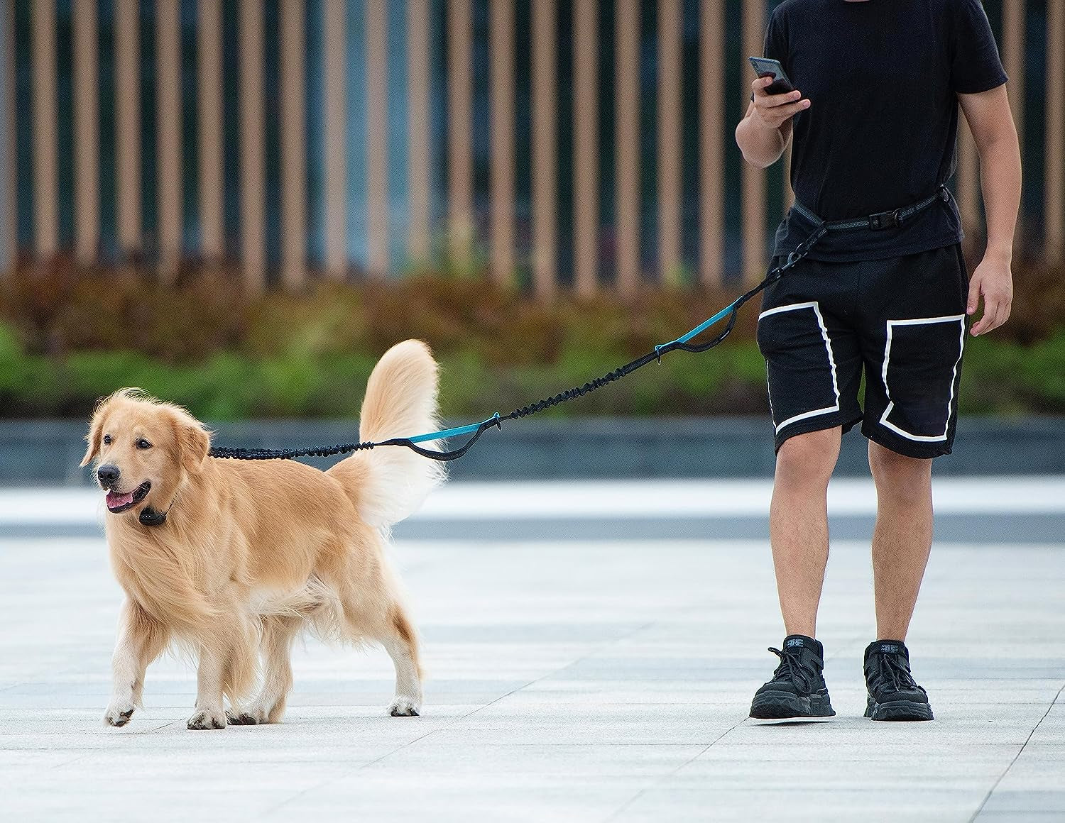 Hands Free Dog Leash with Zipper Pouch, Dual Padded Handles and Durable Bungee for Walking, Jogging and Running Your Dog (Large, 25-150 Lbs, Black)